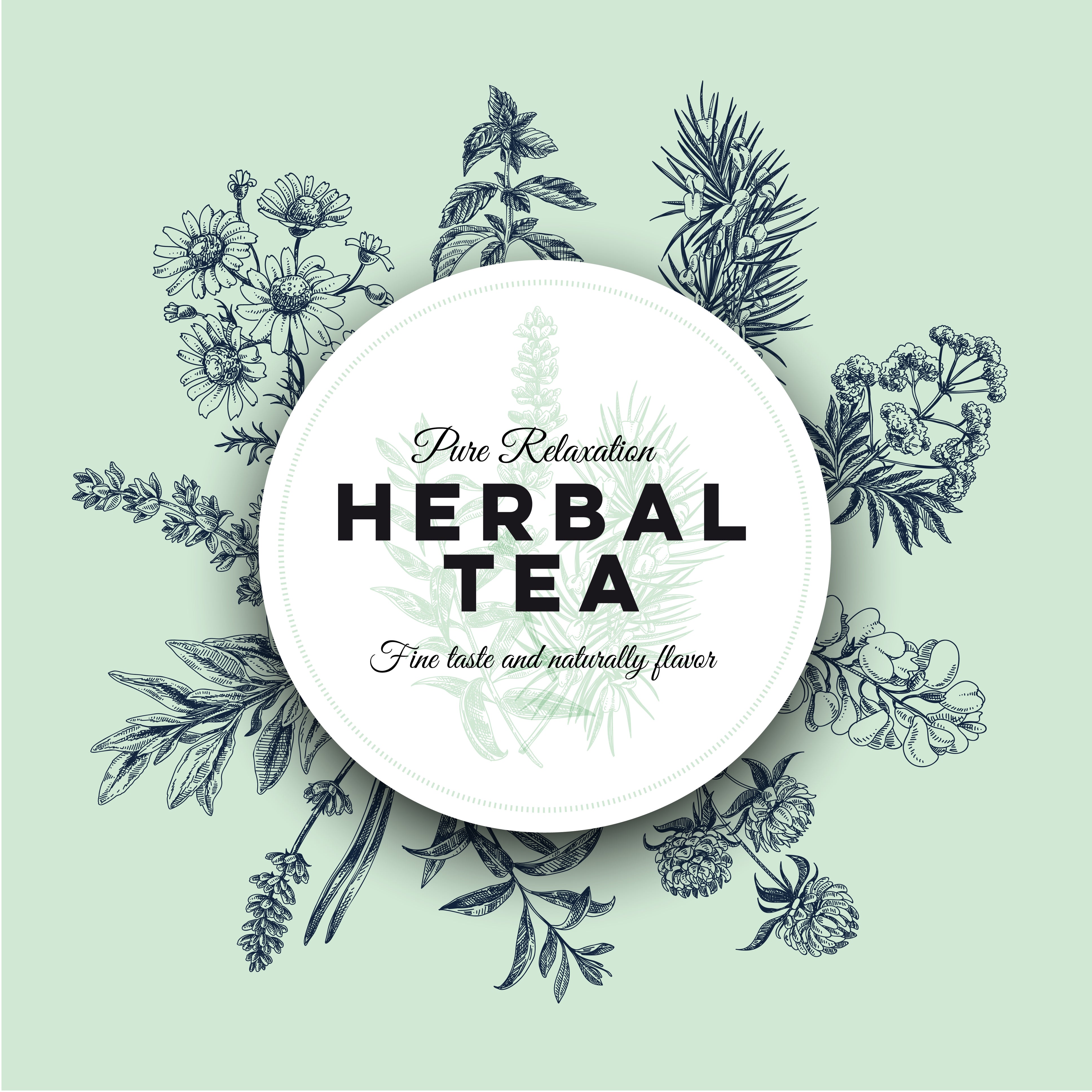 7 Healing Herbal Teas You Can Forage For Yourself