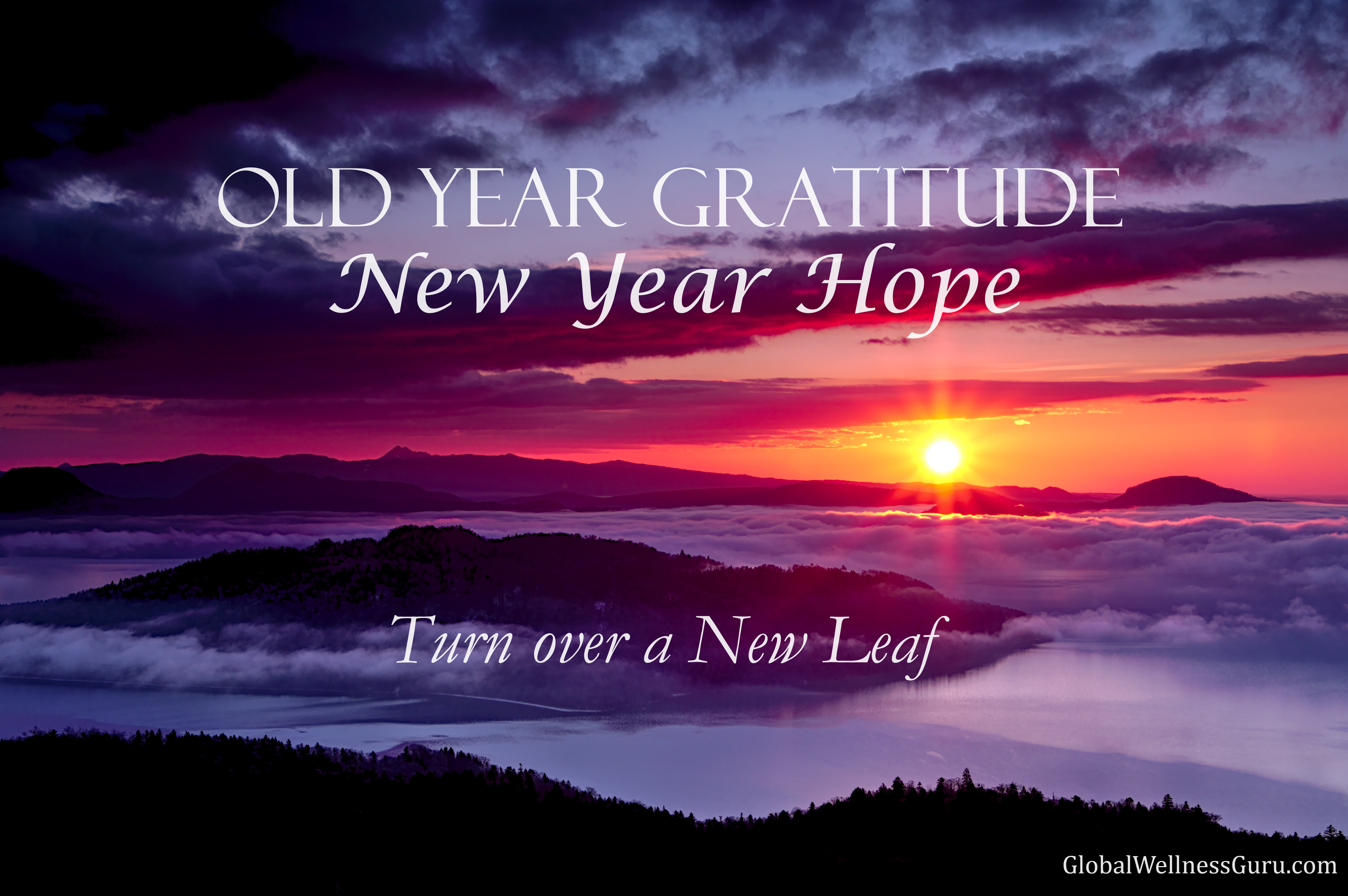 Looking Back on Lessons of Gratitude for The New Year